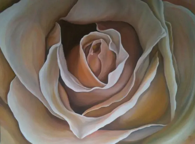 Apricot Rose