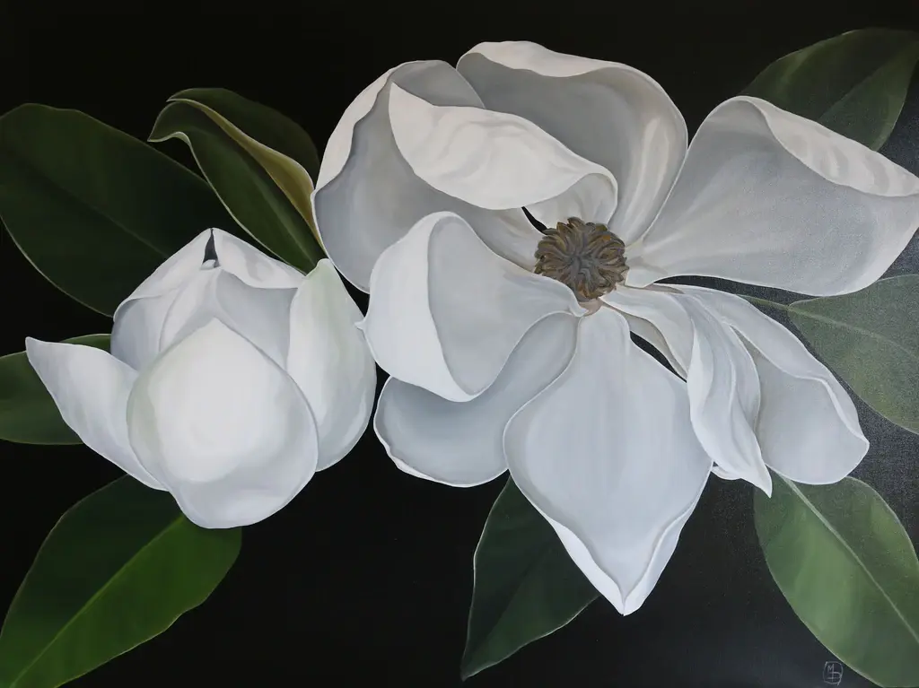 Magnolia Botanix