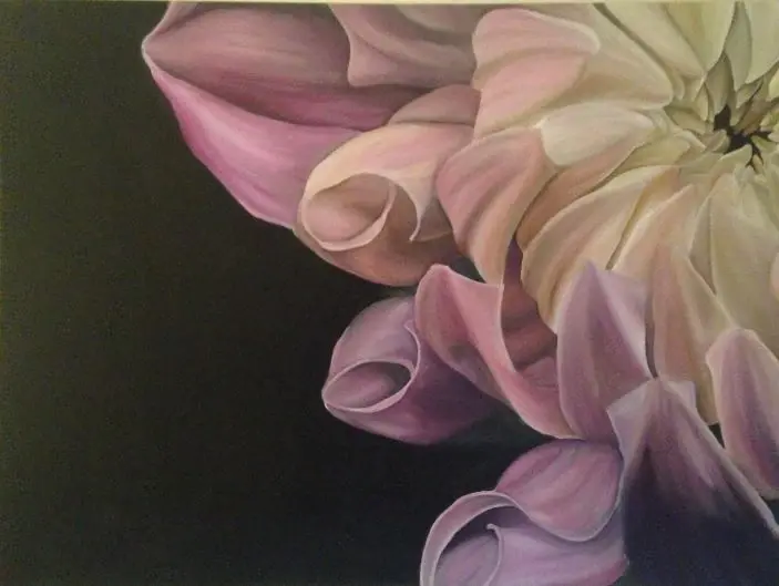 Pink Chrysanthemum