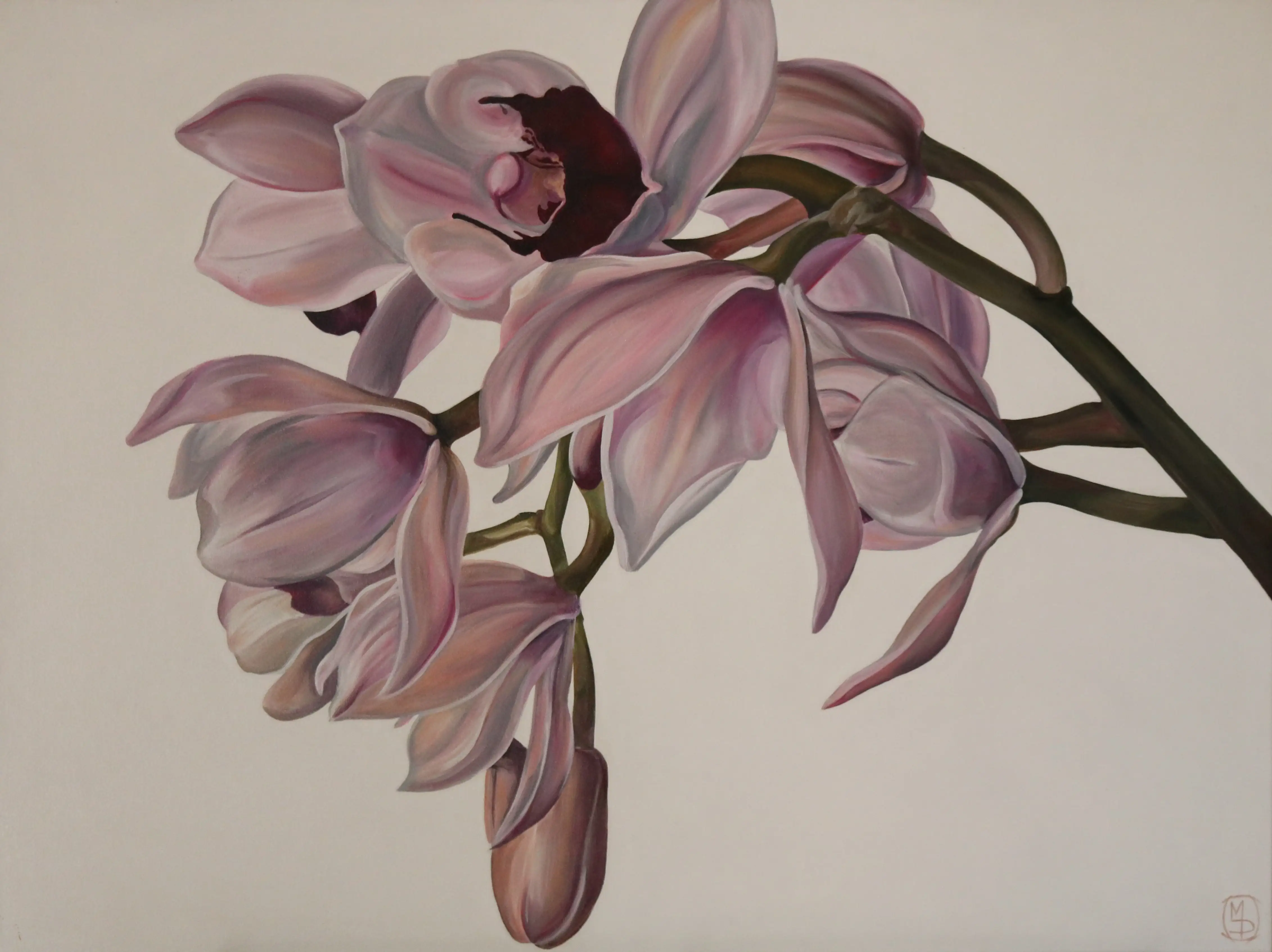Orchid Moment
