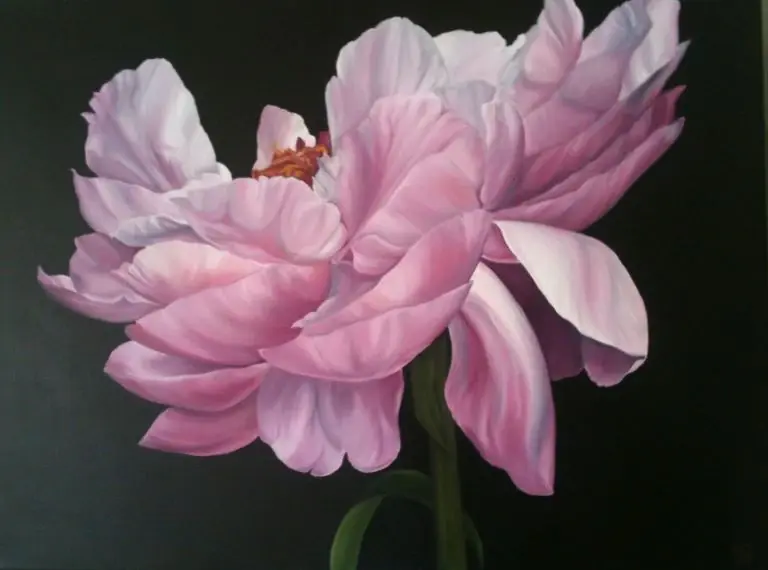 Peony Starlet
